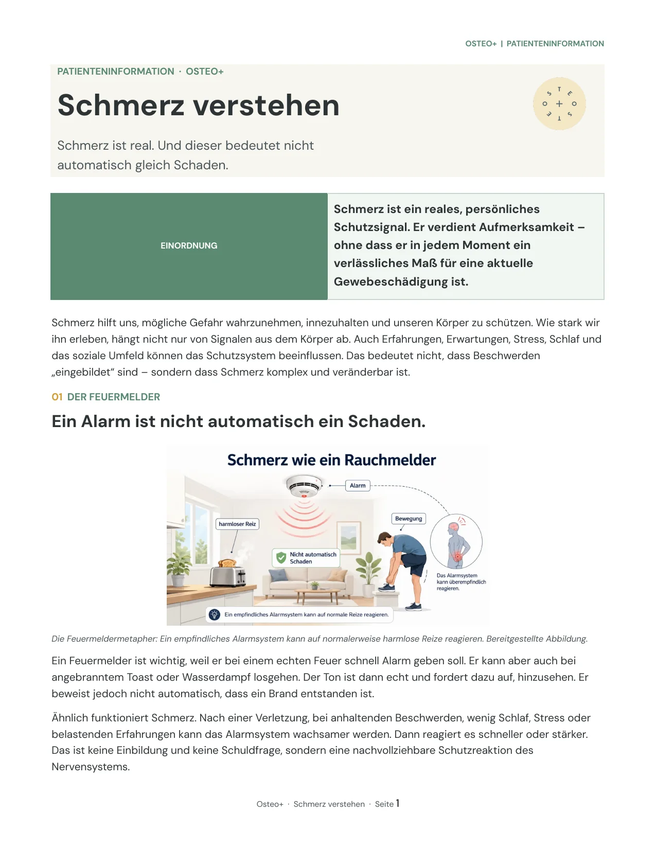 Seite 1 des Infoblatts Schmerz verstehen
